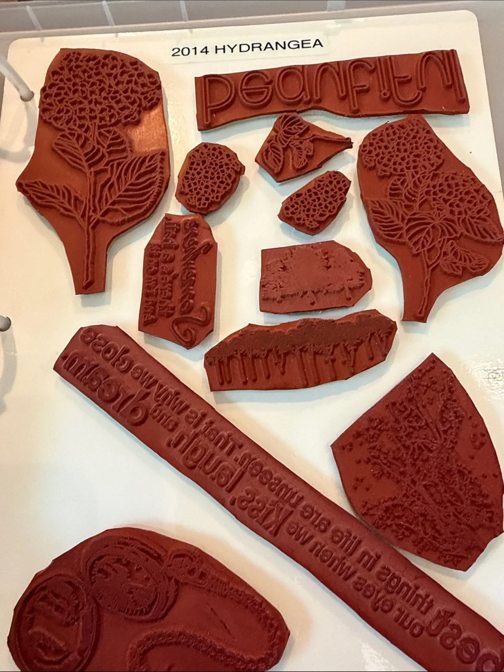 Hydranga Floral Sentiment rubber mount  Stamp Set